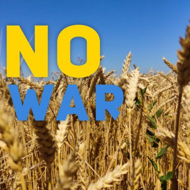 Slogan: Ukrayna bayrağı renginde savaş yok.