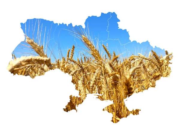 Bir alan şeklinde Ukrayna haritası