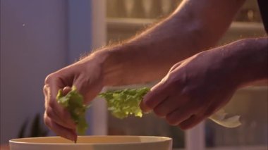Erkek elleri taze ve sağlıklı bir yemek için marul yapraklarını parçalıyor. Eller marul yapraklarını tabağa atar. Koca Caprese salatası için vişneli domates hazırlıyor. 100 fps 2.8 bin.