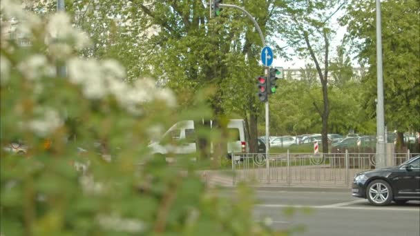 Två Svarta Bilar Börjar Till Det Gröna Trafikljuset Biltrafik Staden — Stockvideo