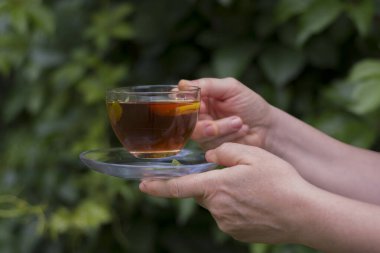 Bahçede limon ve taze nane yapraklarıyla servis edilen bir taşın üzerinde çiçek açmış çay duruyor. Seçmeli Odak Camı