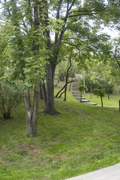 Escalera Serpenteando Través Parque Tranquilo Tranquilo — Foto de Stock