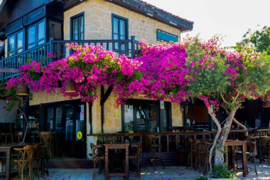 Şehir merkezinin caddeleri, çarşı ve Antalya 'daki liman bölgesi. Sokak manzaralı. Gün batımı bulutlu gökyüzü. Kafe, restoran, dükkan ve evler. İnsan yok. Seçici bir odak noktası..