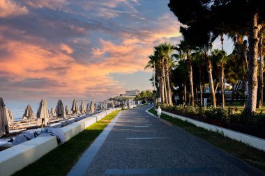 Palmiye ve ağaçlarla çevrili denize doğru yürüme yolu. Seçici Odaklanma. Kimse yok. Gün batımı. Boşluğu kopyala