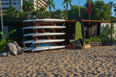 Plajda kiralık sörf tahtaları. Palmiye ağaçları, Kum ve Otel manzarası. Seçici Fosus.