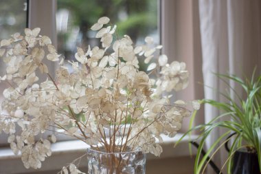 Yapay süs bitkisi, incinin beyaz anasından yapılmış yapraklarla. Pencerenin önündeki vazonun içinde. Seçici Odaklanma Yaprakları