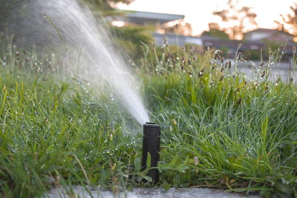 Garden Irrigation Mechanism Sprinkler Close Selective Focus — Stock Photo, Image