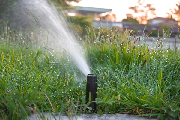 花园灌溉系统 选择性焦点 免版税图库照片