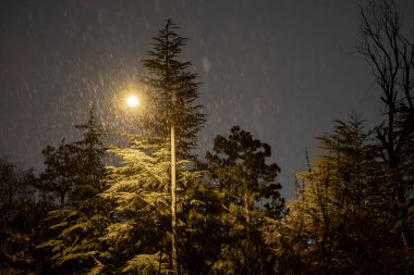 Ankara 'da kar yağışı devam ederken, boş sokakların manzarası karla kaplandı. Seçici Odaklanma. Görüntü Hareketi Görüntüsü