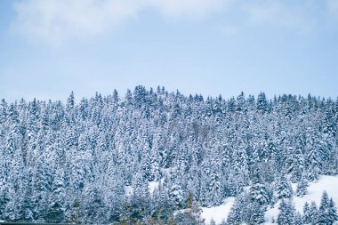 Bolu Yeniaga 'nın İstanbul-Ankara yolu üzerindeki konumu. Karla kaplı ormanlar ve mavi gökyüzü olan bir kış manzarası.