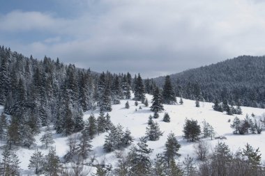 Bolu Yeniaga 'nın İstanbul-Ankara yolu üzerindeki konumu. Karla kaplı ormanlar ve mavi gökyüzü olan bir kış manzarası.