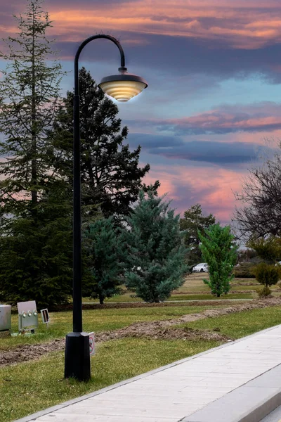 Pedestrian Path Surrounded Pine Trees Lighting Pole Sunset Sky — Stock Photo, Image