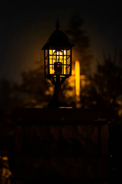 Street Lamp Pine Tree Night Continues Snow Ankara Motion Blur — Fotografia de Stock