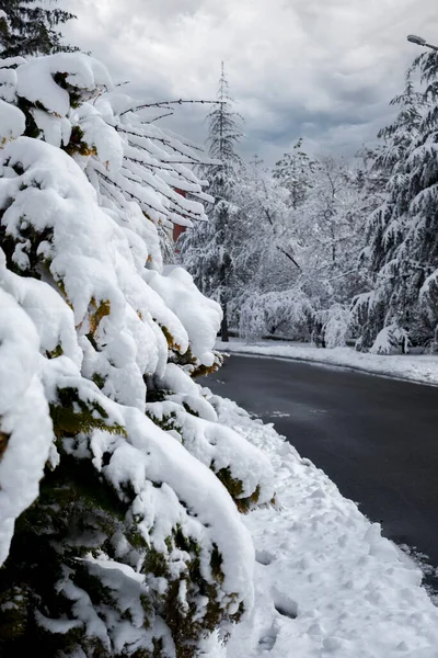 월에는 시내의 아스팔트 도로에 덮였습니다 Snowy Foggy Weather Winter Background — 스톡 사진