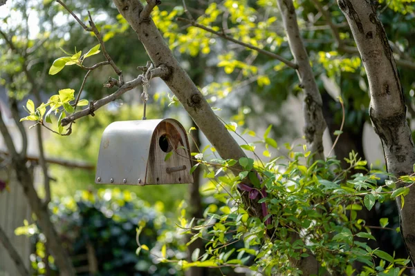 Casa Pássaros Madeira Pendurada Árvore Jardim Casa Casa Pássaros Foco — Fotografia de Stock