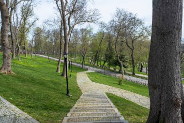 İstanbul Emirgan Parkı 'nda yürüyüş yolları, dekore edilmiş bahçeler, eski ağaçlar ve biçilmiş çimenler.
