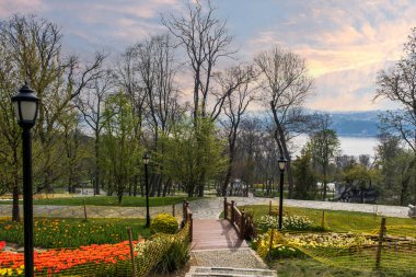 İstanbul 'da bir parktan ilkbaharda ağaç dalları üzerinden İstanbul' a bakan Boğaz manzarası