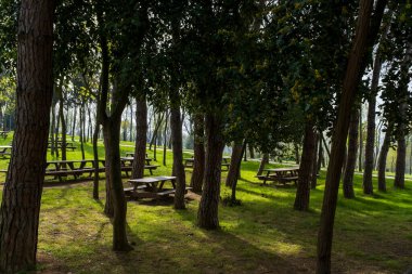 İstanbul Emirgan Parkı 'nda ağaçların ve martıların gölgesinde çimlerin üzerinde piknik masaları geziniyor..