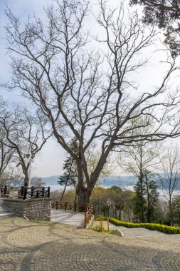 Baharda İstanbul 'da bir park. Büyük ağaçlar. Yürüme yolları, yeşil çimenler ve piknik masaları