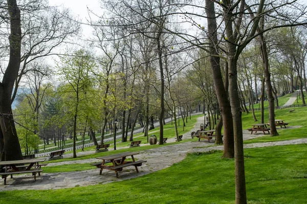 Park Istanbulu Jaře Velké Stromy Pěší Stezky Zelené Trávníky Piknikové — Stock fotografie