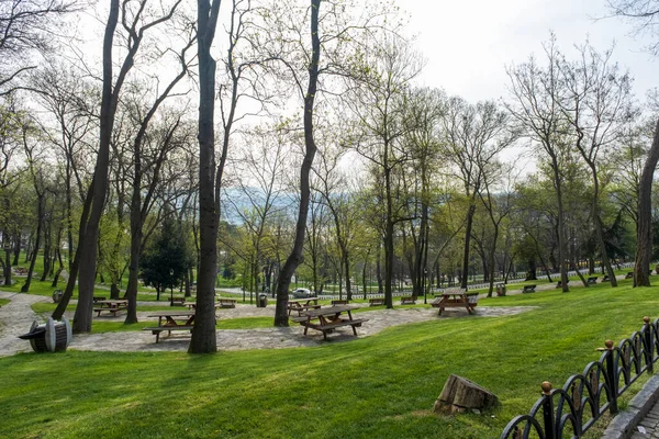 Park Istanbulu Jaře Velké Stromy Pěší Stezky Zelené Trávníky Piknikové — Stock fotografie