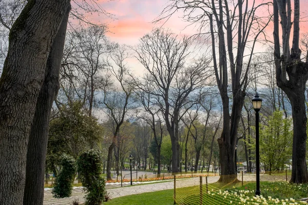 Bosphorus Pohled Parku Istanbulu Jaře Přes Větve Stromů — Stock fotografie