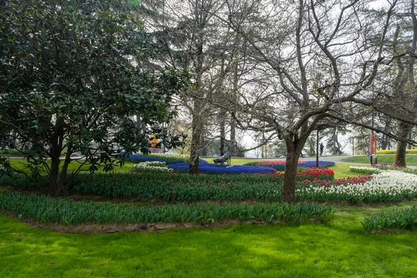 Parque Estambul Primavera Árboles Grandes Senderos Para Caminar Césped Verde — Foto de Stock