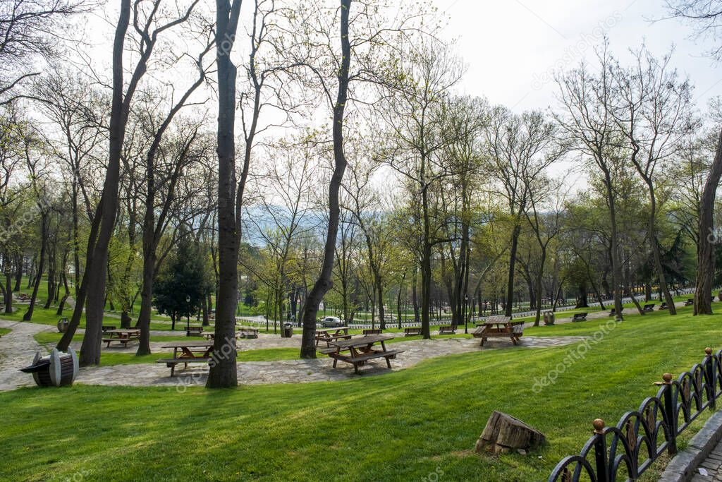 A park in Istanbul in spring. big trees. walking paths, green lawns and picnic tables