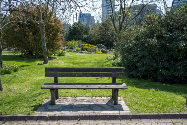 Empty Bench City Park Spring Day Grass Trees Cityscape Background — Photo