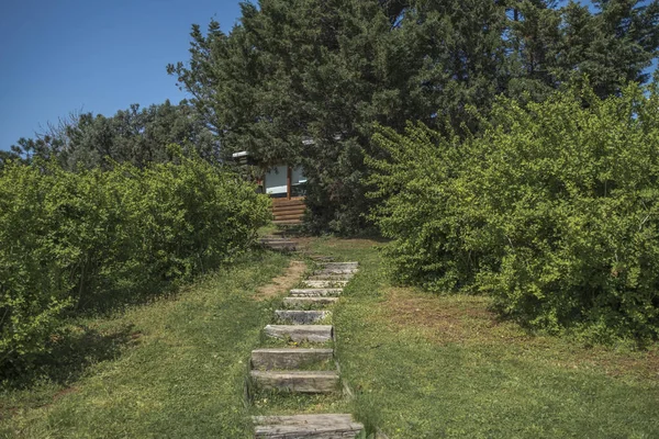 Escalier Serpentant Dans Parc Calme Paisible — Photo