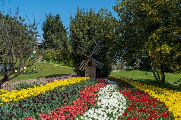 Wooden Decorative Miniature Windmill Field Colorful Tulips Sunny Day Beautiful — Stock fotografie