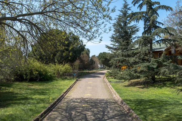 Walking Paths Decorated Gardens Old Trees Mown Lawns Public Park — стокове фото