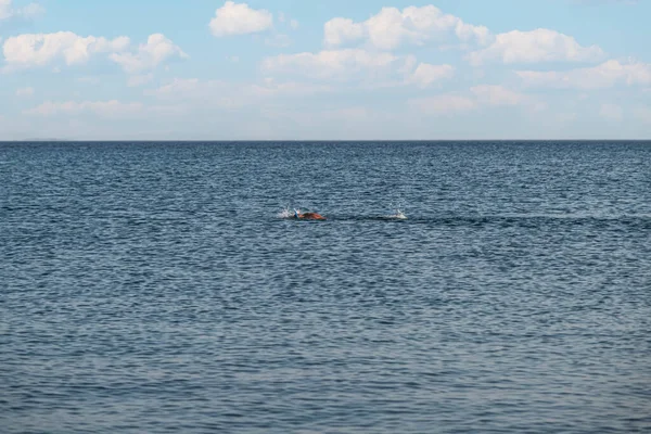 Unico Uomo Che Nuota Nel Mare Calmo Calmo Selettivo Nuotatore — Foto Stock