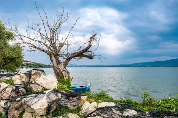 Рыболовные Сети Мертвое Дерево Рыбацкая Лодка Вид Озеро Берегу Озера — стоковое фото