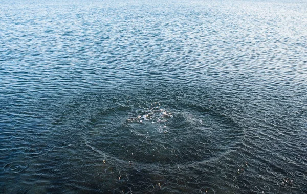 Éclaboussures Eau Éclaboussures Loin Pierre Jetée Dans Eau Goutte Eau — Photo