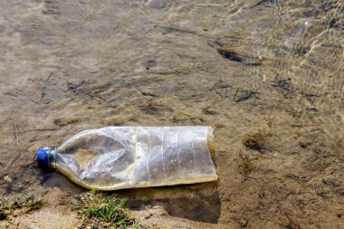 Şişeler doğada atılıyor. Plastik atıkla çevre kirliliği. Tehlikeli ve zehirli atık. Gezegenin ekolojik felaketi. İklim değişikliğinin nedenleri. Metin için kopyalama alanı olan arkaplan