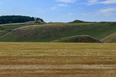 Doğu Avrupa 'nın dağlık doğası. Seçici odaklı yeşil tepecikler. Metin veya harf için kopyalama alanı olan peyzaj arkaplanı