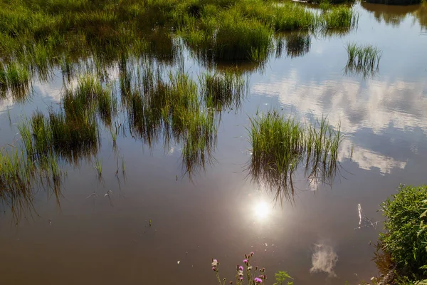 村庄的沼泽河 气候变化造成的水体干枯 带有文本或文字复制空间的背景 — 图库照片