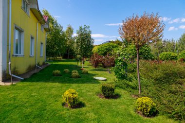Çok güzel ve bakımlı bir şehir Central Park 'ı. Kamu alanlarının iyileştirilmesi ve yeşillendirilmesi. Şehirde ve kentsel çevrede rahatlık için manzara. Metin veya yazıtlar için kopyalama alanı olan arkaplan.