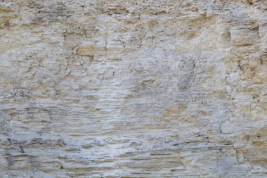 Doğal kireç taşı. Tasarım için boş veya grafik kaynak arkaplanı. Sert desenli yüzey.