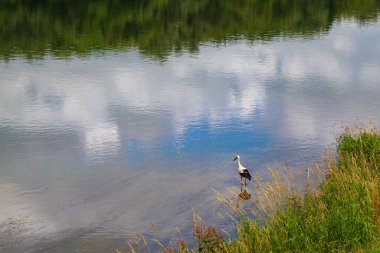 Leylek nehirde avlanıyor. Metin için kopyalama alanı olan arkaplan