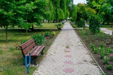 Şehir parkında yayalar için kaldırım yolu. Metin veya harf için kopyalama alanı olan arkaplan