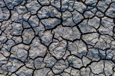 Su baskınından sonra kurumuş toprağın kaba dokusunu çatlatmış. Arkaplan