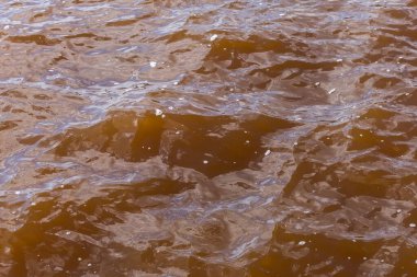 Çamurlu Afrika nehri. Kirli su ya da göl. Korkunç bir belirsizlik. Arkaplan