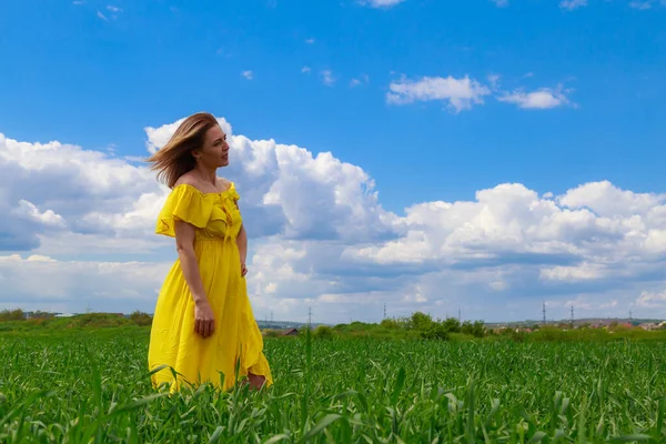 Yeşil Bir Tarlada Sarı Elbiseli Genç Bir Kadın Bir Ekolojiyle — Stok fotoğraf