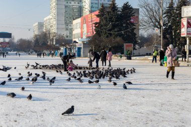 19 Ocak 2021 Balti veya Beltsy, Moldova 'nın soğuk kışı. İllüstrasyon Editörü