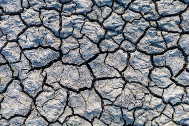 Su baskınından sonra kurumuş toprağın kaba dokusunu çatlatmış. Arkaplan