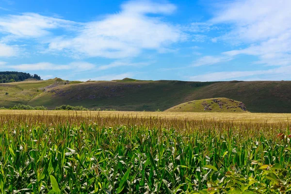 Landwirtschaftliche Hügelige Felder Mit Fruchtbarem Boden Hintergrund Mit Kopierraum Für — Stockfoto