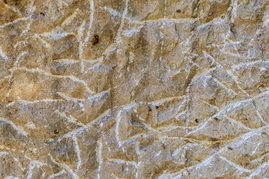 Doğal taşın pürüzlü yüzeyi. Dokulu arka plan. Tasarım için boş. Altında ya da altında. Metin için alanı kopyala