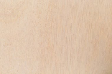 Afrika 'daki bir ağacın açık dokulu kesik yüzeyi. Ahşap zemin ya da tasarım için boş. Metin veya etiketler için bir grafik kaynağı ya da altında yatan.